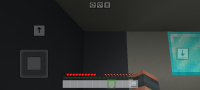 Screenshot_20240217_214536_Minecraft.jpg