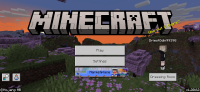Screenshot_20240220_094821_Minecraft.jpg
