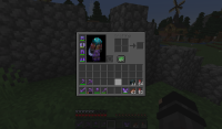 Snapshot 24w09a Issue 2.png