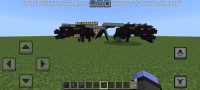 Screenshot_20240304-164405_Minecraft.jpg