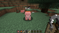 2014-02-09_11.03.55.png