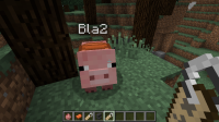 2014-02-09_11.04.13.png