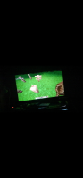 Screenshot_20240317_193646_com.huawei.himovie.overseas.jpg