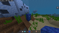 Coral-Placement-03-04-2024.png