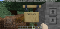 Screenshot_20240403-215435_Minecraft.jpg
