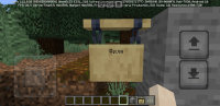 Screenshot_20240403-215343_Minecraft.jpg