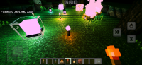 Screenshot_20240419_072213_Minecraft.jpg
