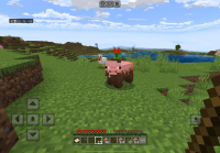 39E13A0823DBE133AF7AC49BB0D43542.png