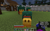 Screenshot 2024-04-21 at 7.38.32 PM.png