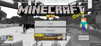 Minecraft 1.21.0.24.jpg