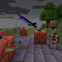 Sword_Customized_sword.jpeg
