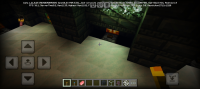 Screenshot_2024-05-12-16-42-59-322_com.mojang.minecraftpe.jpg