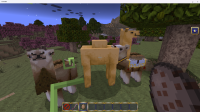 Screenshot (245).png
