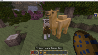 Screenshot (244).png