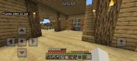 Screenshot_20240526_070045_Minecraft.png