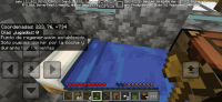 Screenshot_20240601_175742_Minecraft.jpg