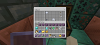 Screenshot_2024-06-03-05-49-20-858_com.mojang.minecraftpe-1.jpg