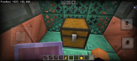 Screenshot_2024-06-04-17-53-40-130_com.mojang.minecraftpe.jpg