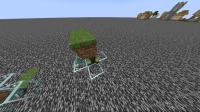 1.20.6 and 1.21 Pre-release 4.png