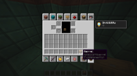 Bug report 2.png
