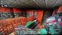 IMG_2534.jpeg