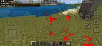 Screenshot_20240621_154200_com.mojang.minecraftpe.jpg