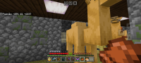 Screenshot_20240622_213832_Minecraft.jpg
