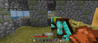 Screenshot_20240622_213816_Minecraft.jpg