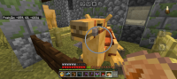 Screenshot_20240622_213728_Minecraft.jpg