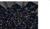 before.png