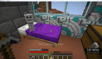 This bed is occupied Glitch.png
