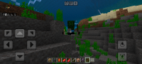 Screenshot_2024-07-22-13-01-50-770_com.mojang.minecraftpe.jpg