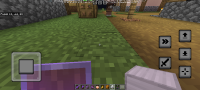 Screenshot_20240728_132259_Minecraft.png