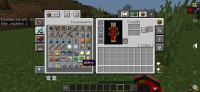 Screenshot_20240813-190546_Minecraft.jpg