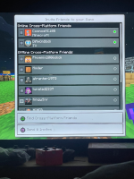 Minecraft Issue.jpg