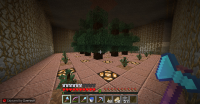 Minecraft-03-04-2014 8-06-51.jpg