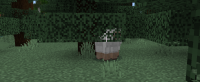 2024-08-09 150404.png