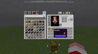 Bundle inside after reloading inventory.jpg