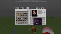 Bundle inside before reloading inventory.jpg