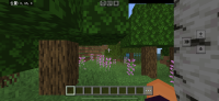 IMG_3168.png