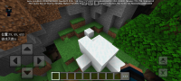 Screenshot_20240921_124521_com.mojang.minecraftpe.jpg