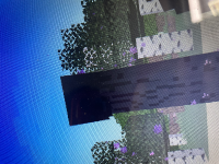 IMG_6780-1.jpeg
