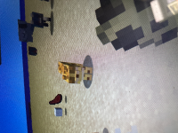 IMG_6774-2.jpeg