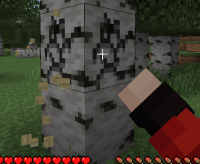 bug.png