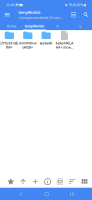 Screenshot_20241003_131815_FV File Explorer.jpg