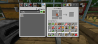 Screenshot_20241107_073336_com_mojang_minecraftpe_MainActivity.jpg