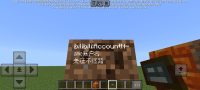 Screenshot_2024-11-09-20-09-41-486_com.mojang.minecraftpe.jpg