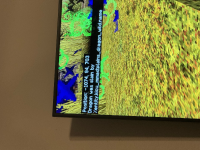 image.jpeg