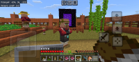 Screenshot_2024-12-01-11-12-51-524_com.mojang.minecraftpe.jpg