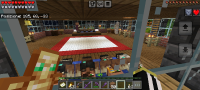 Screenshot_20241204_115511_Minecraft.jpg
